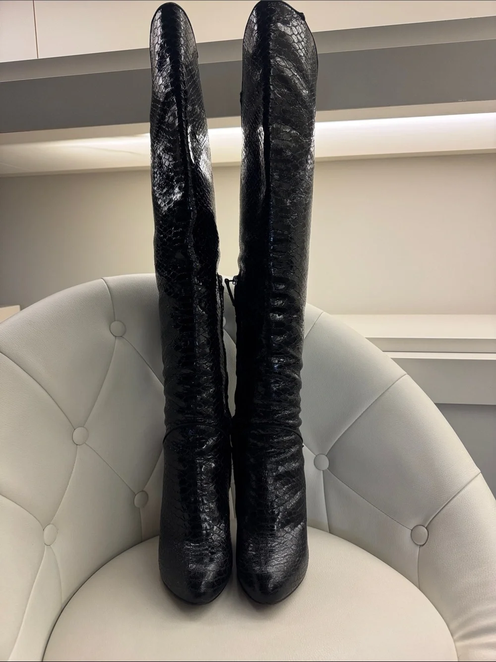 Giuseppe Zanotti bold over